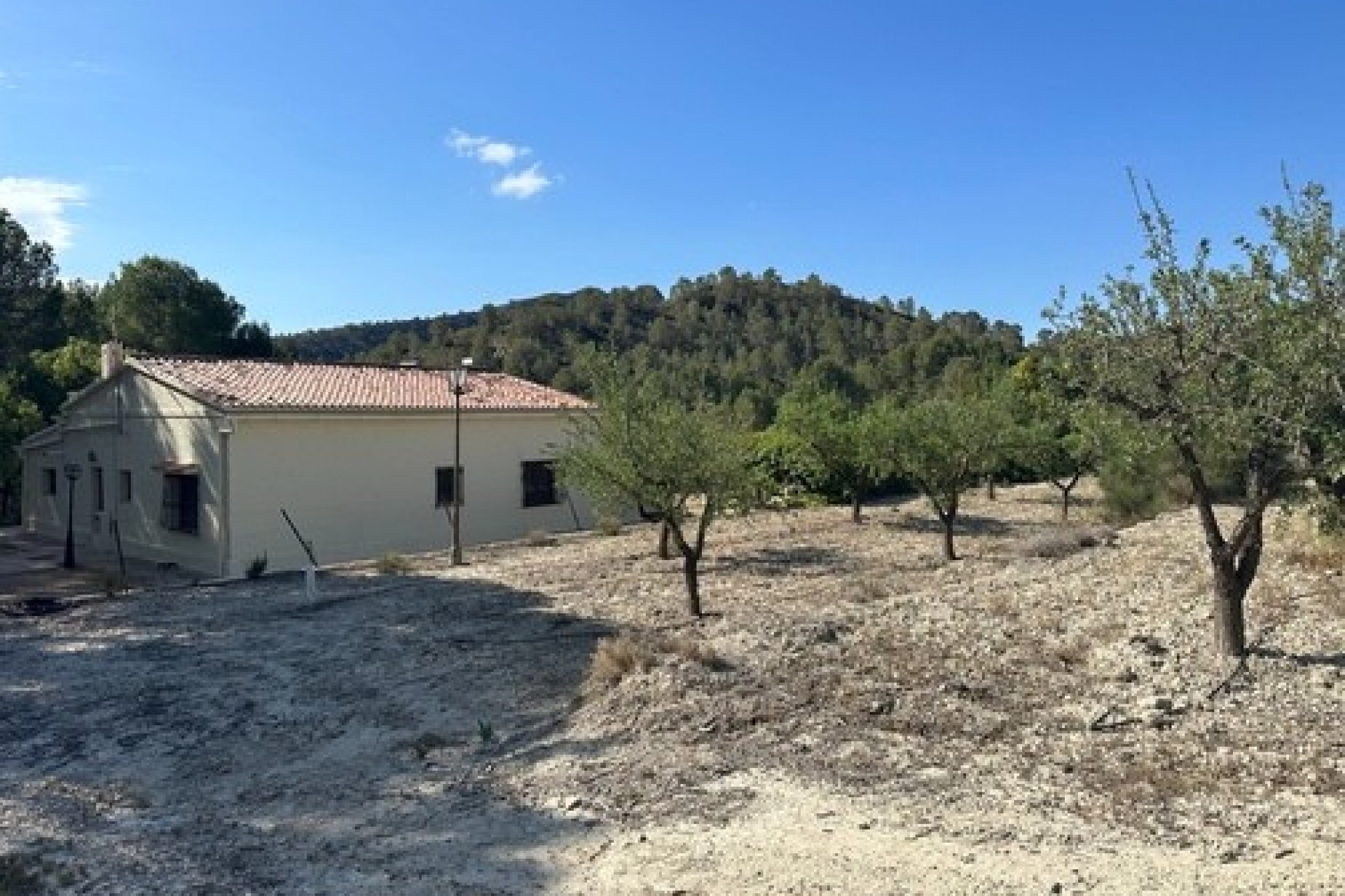 A Vendre - Finca / Propriété rurale -
Relleu
