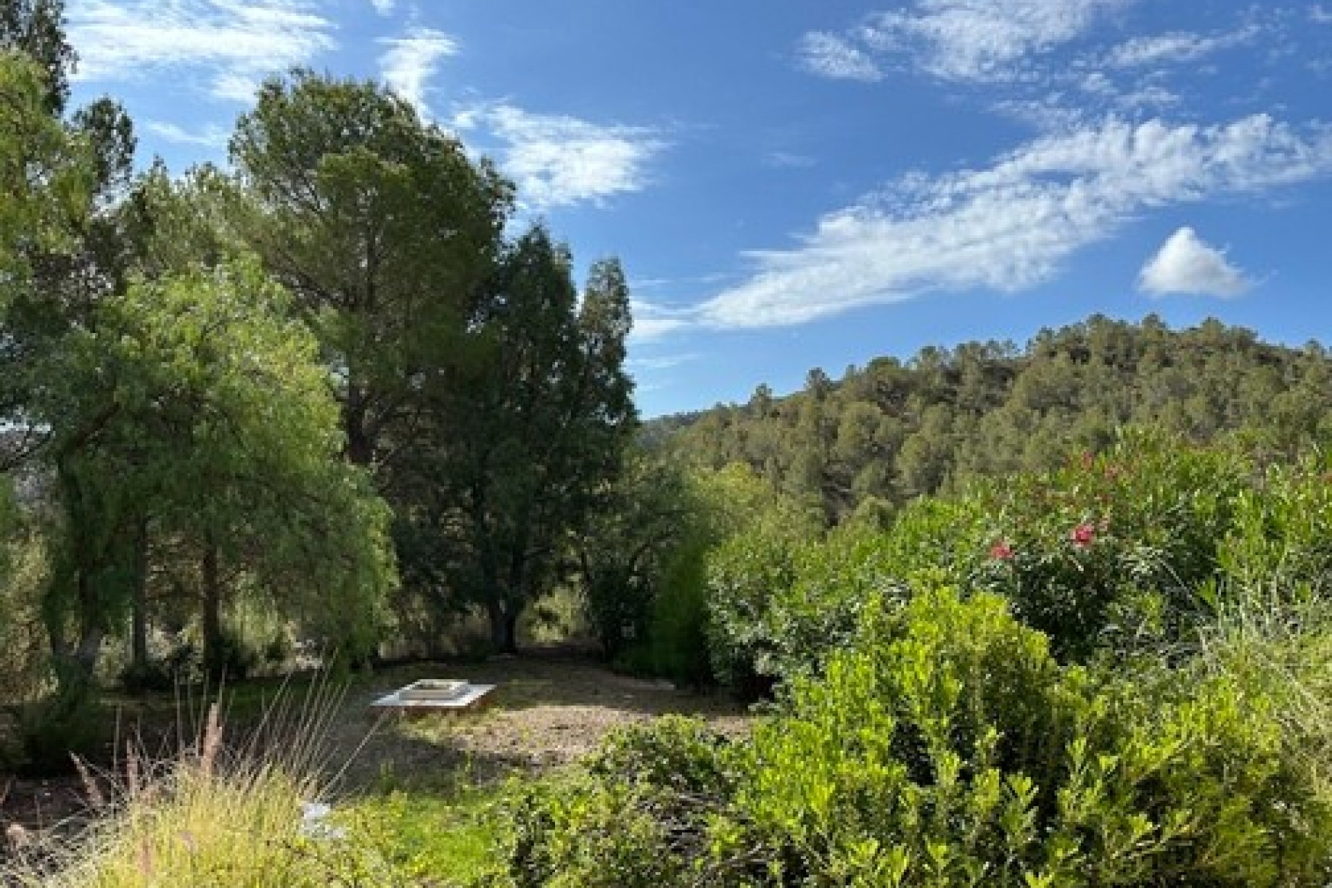 A Vendre - Finca / Propriété rurale -
Relleu