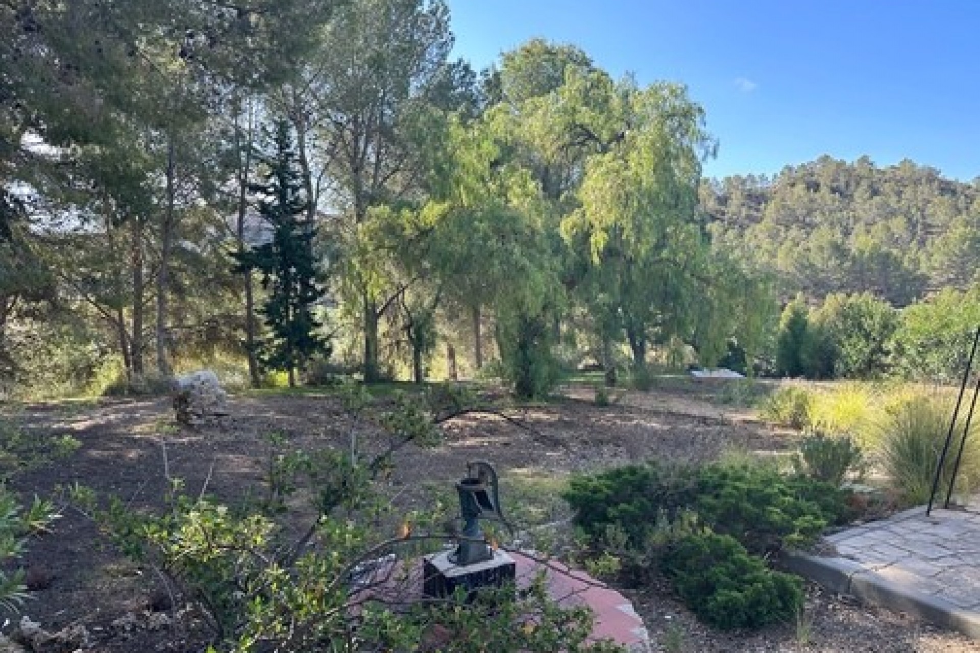 A Vendre - Finca / Propriété rurale -
Relleu