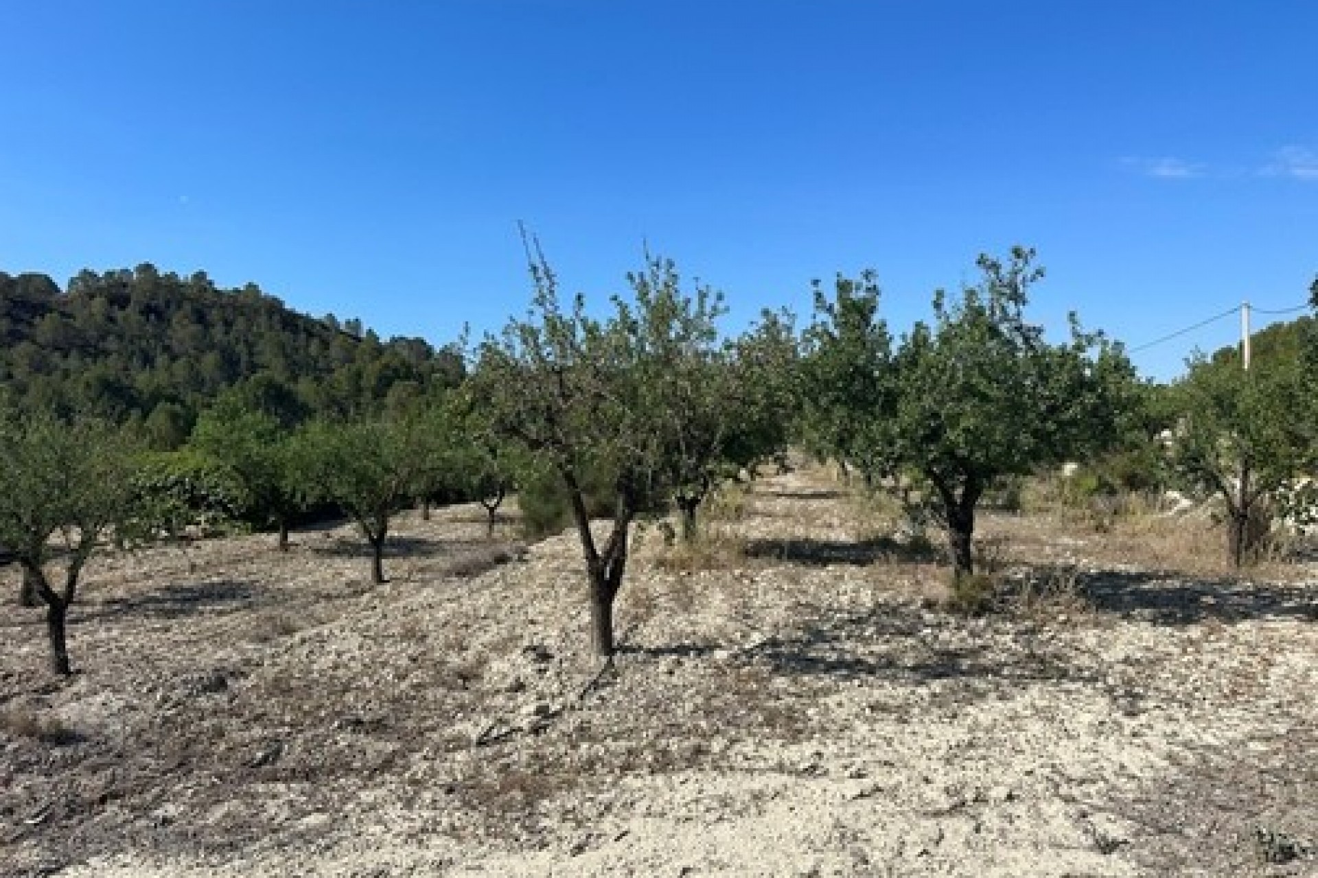 A Vendre - Finca / Propriété rurale -
Relleu