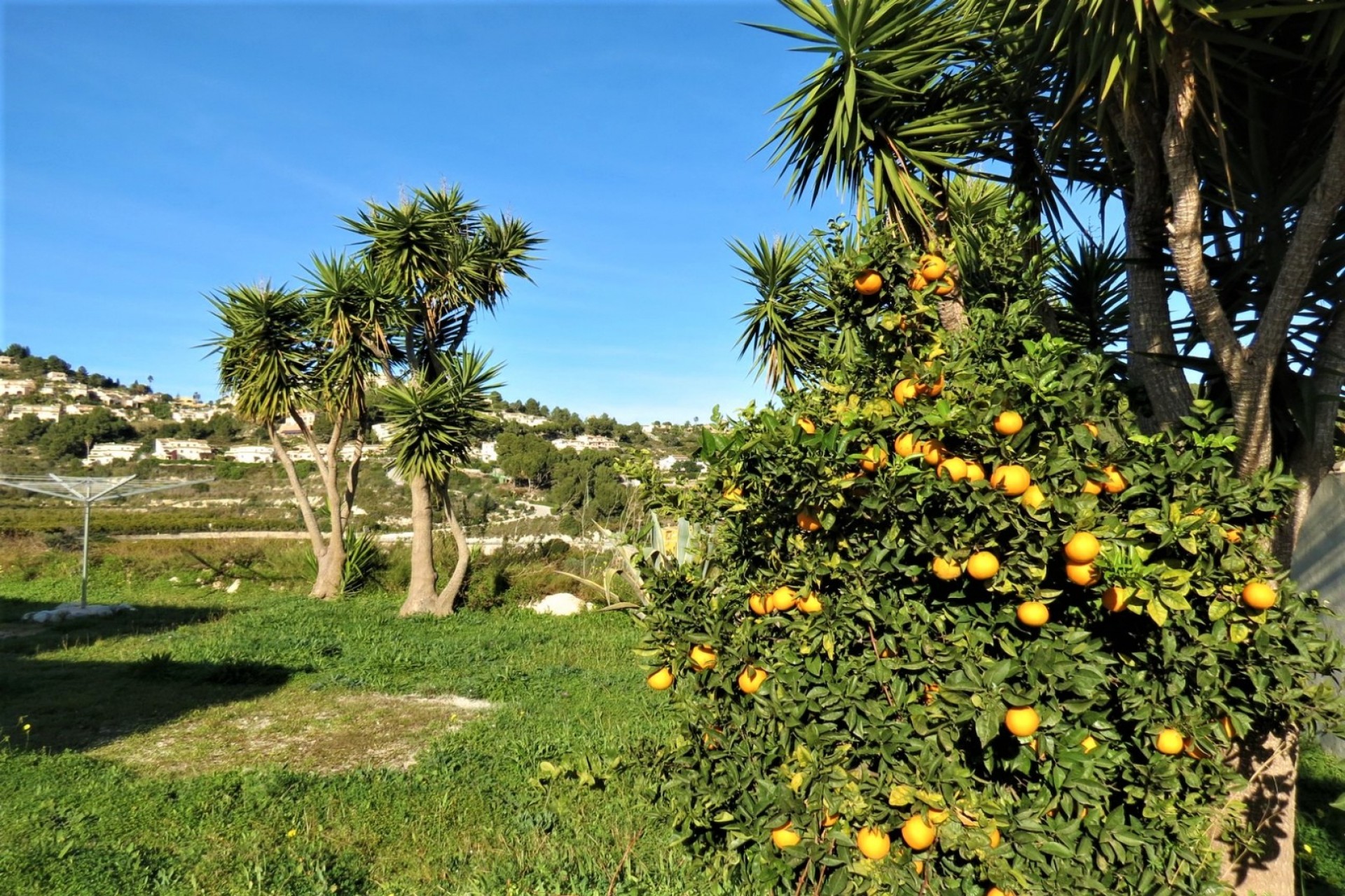 A Vendre - Finca / Propriété rurale -
Teulada - Partida Comes