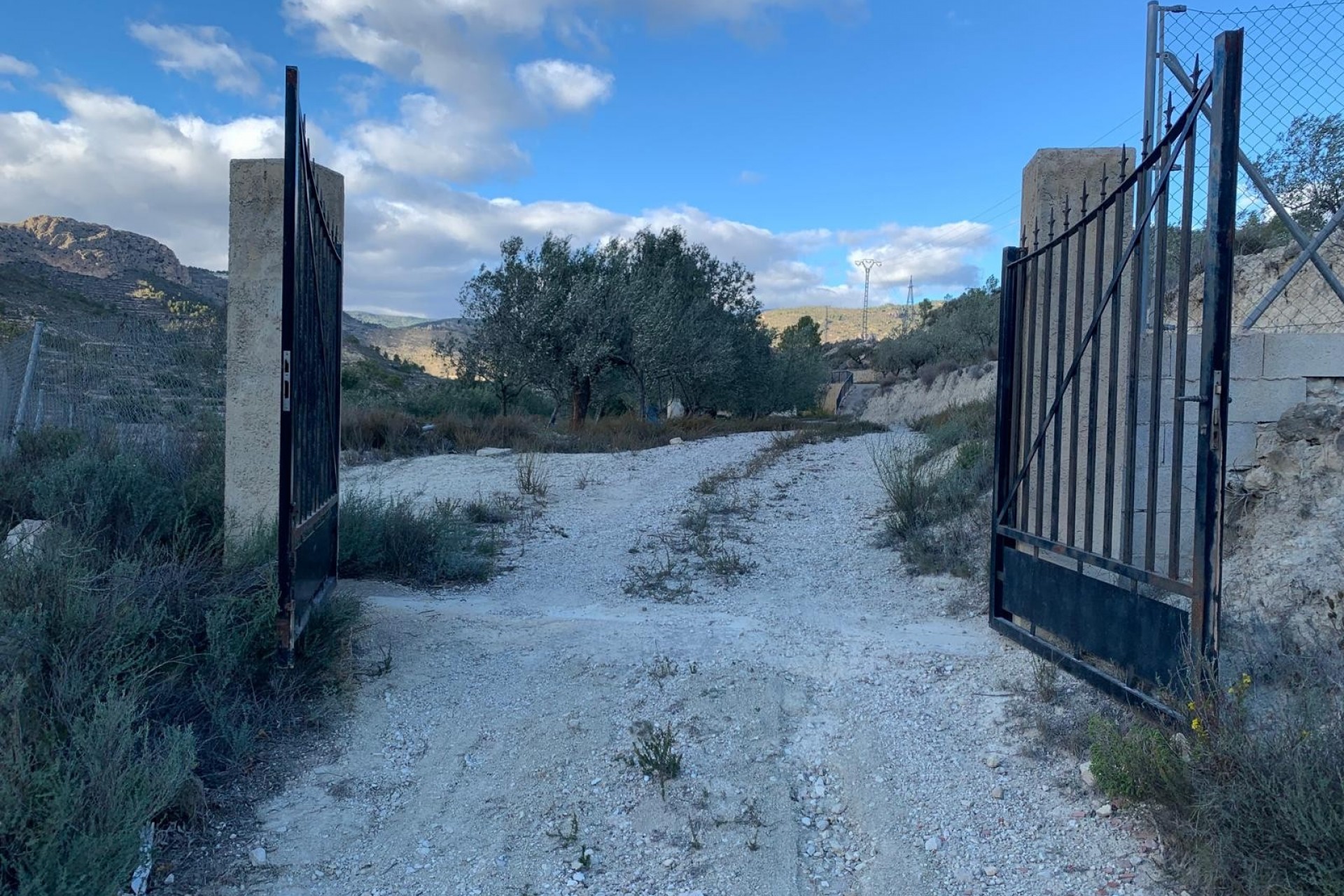 A Vendre - Finca -
Senija