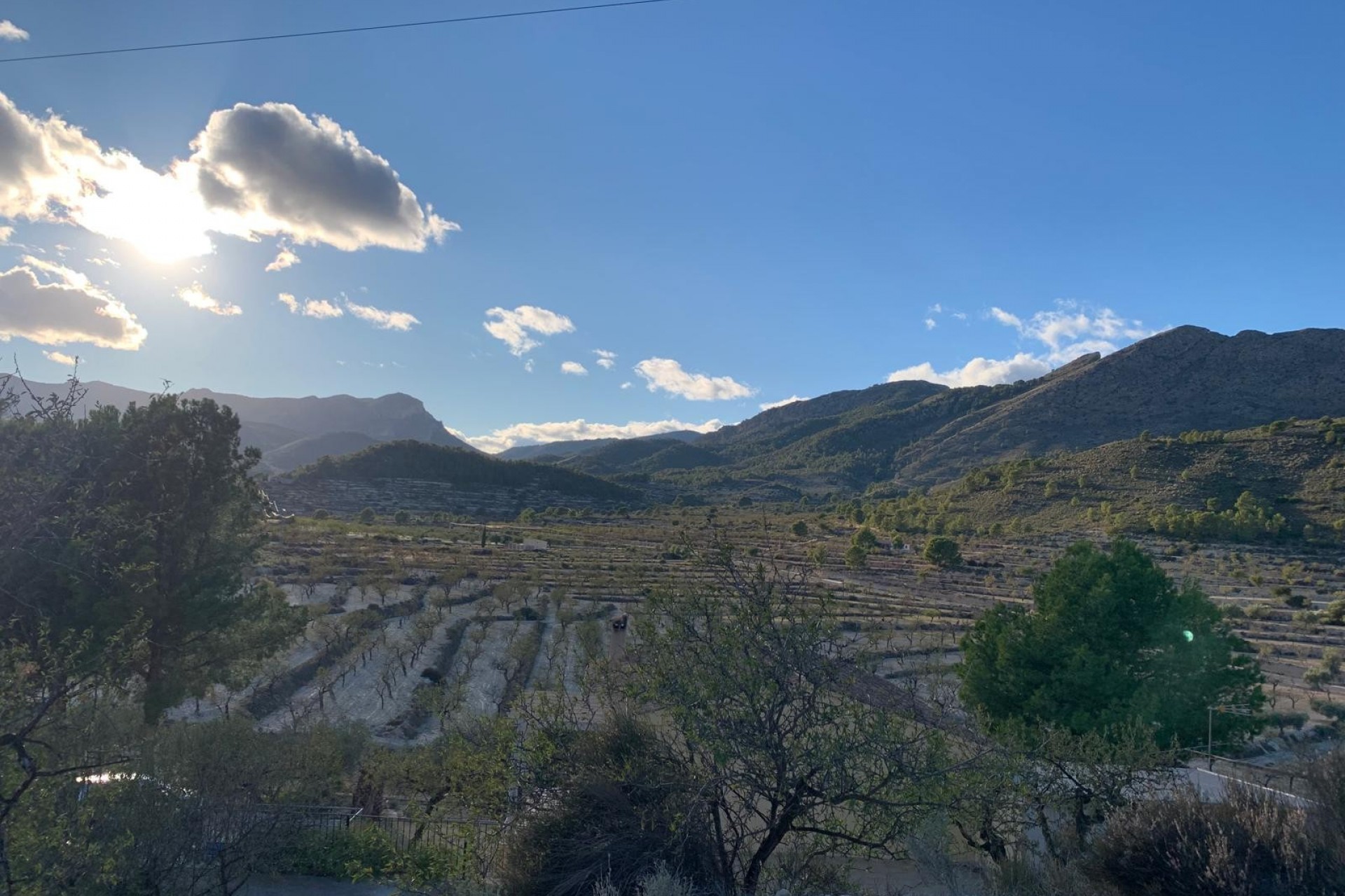 A Vendre - Finca -
Senija