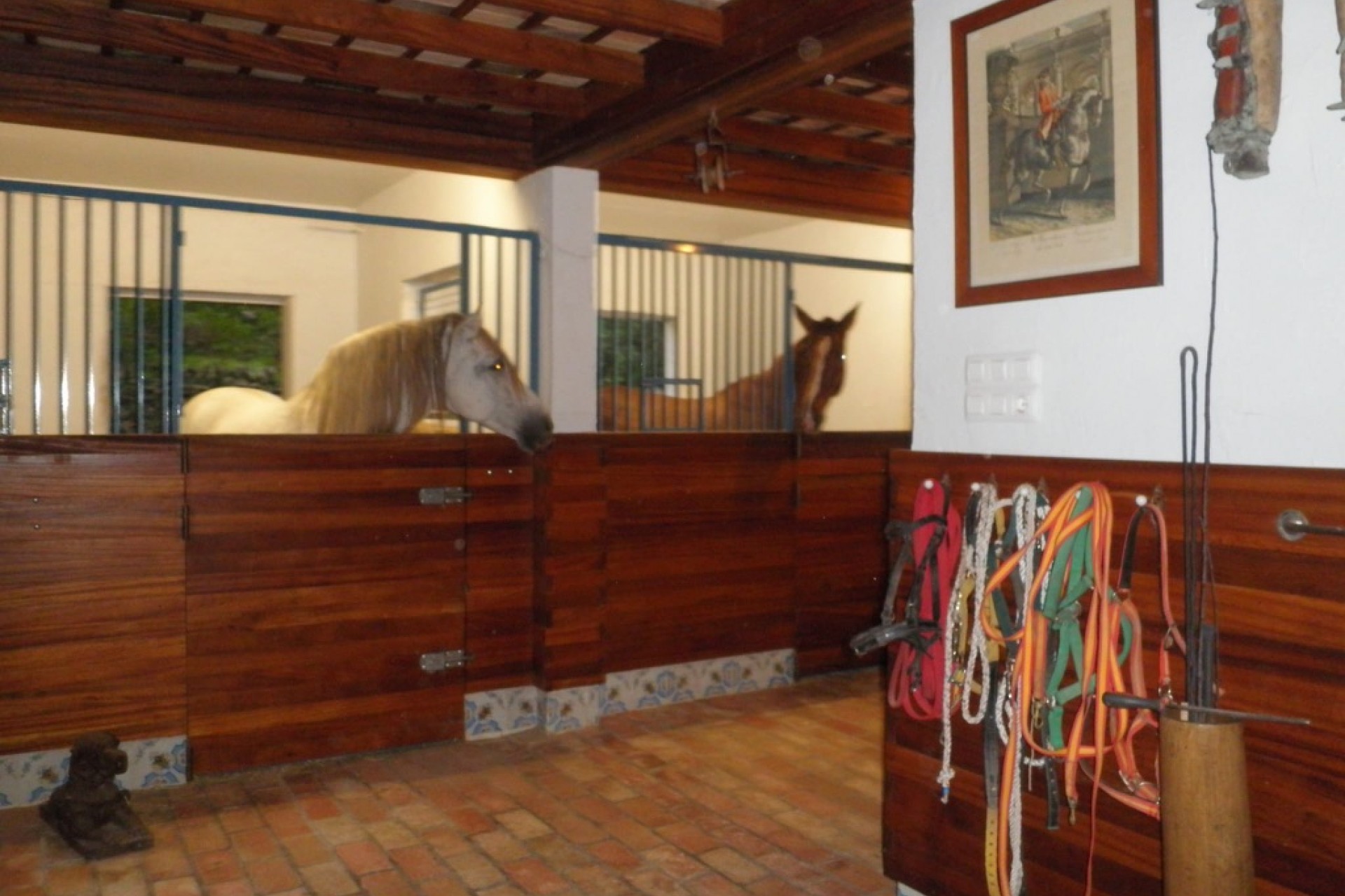 A Vendre -  -
La Xara - Benimaquia