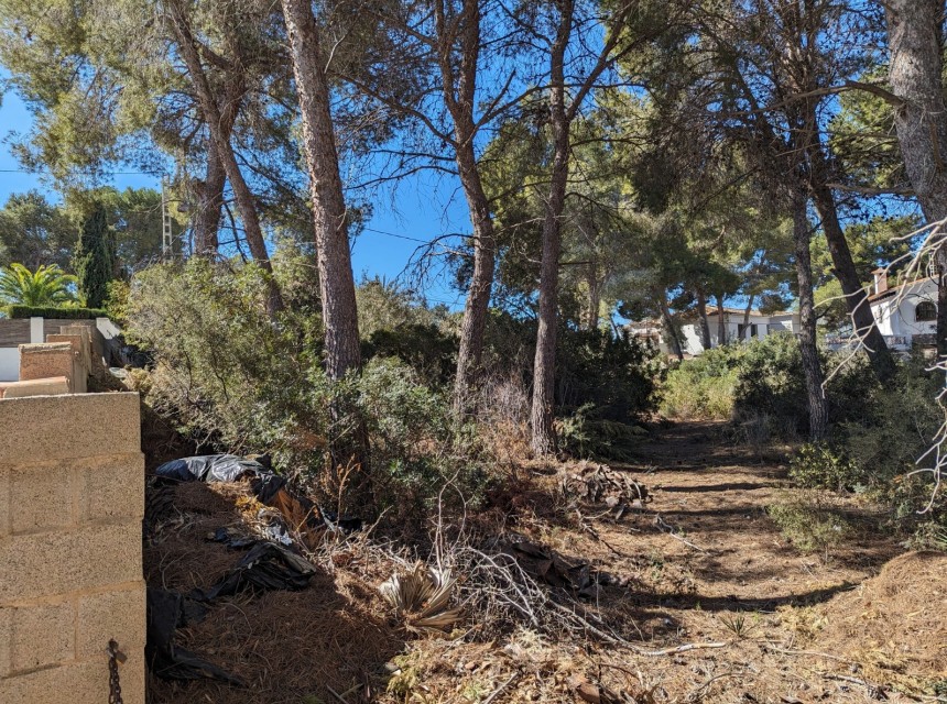 A Vendre - Parcelle -
Benissa - Fanadix