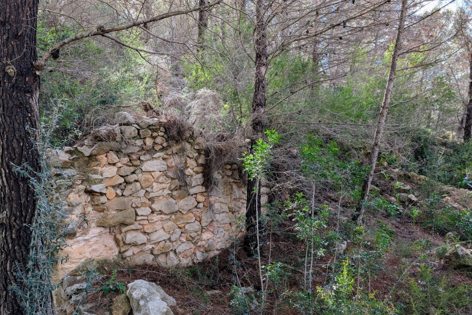 A Vendre - Parcelle -
Benissa - Partida Biasner