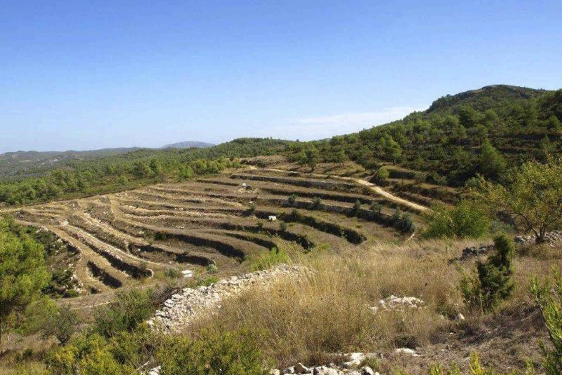 A Vendre - Parcelle -
Valle de Alcalá - Periferia