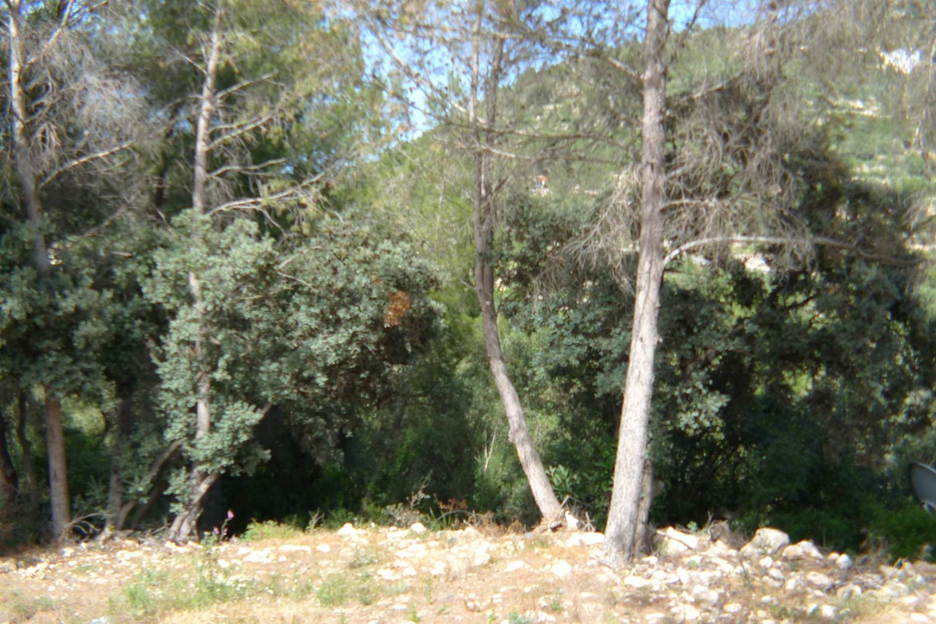 A Vendre - Terrain -
Alcalali