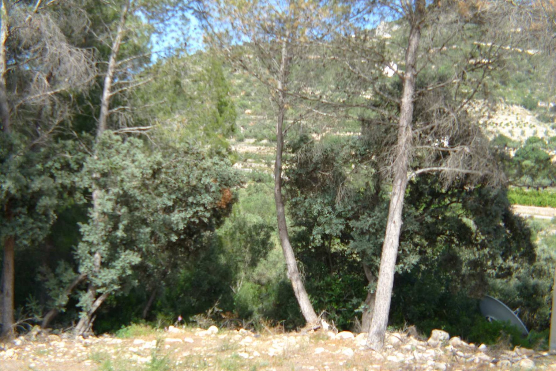 A Vendre - Terrain -
Alcalali