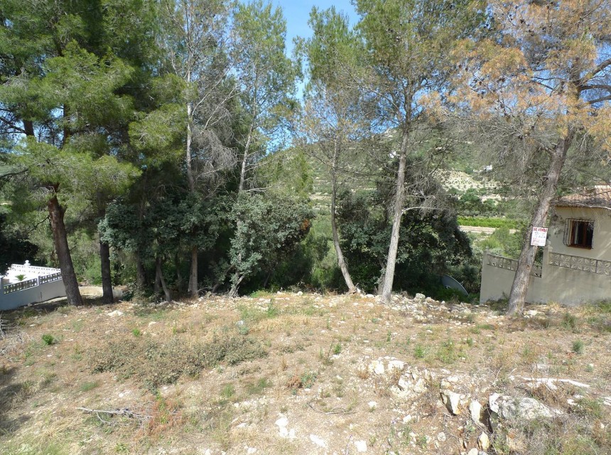 A Vendre - Terrain -
Alcalali
