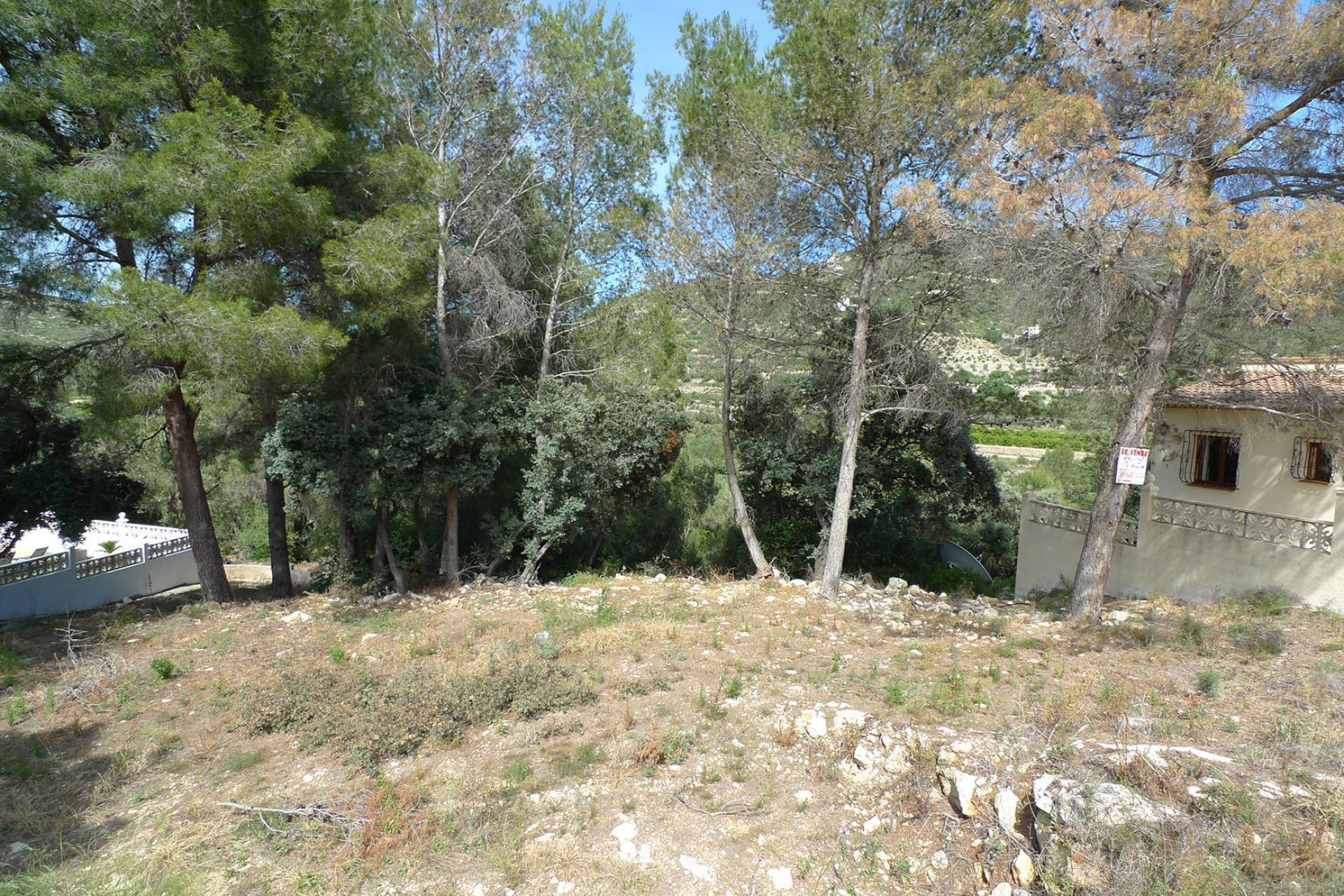 A Vendre - Terrain -
Alcalali