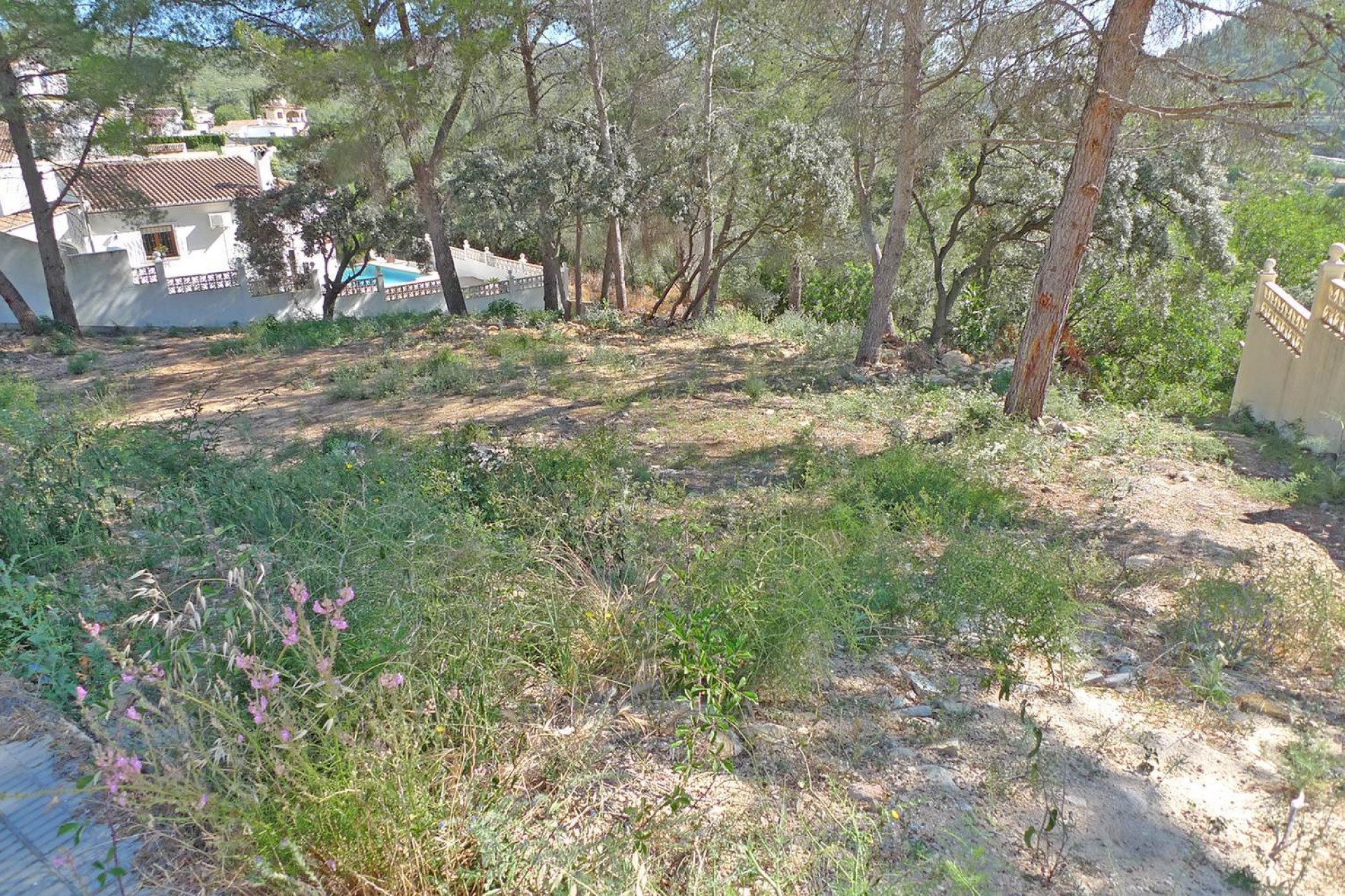 A Vendre - Terrain -
Alcalali