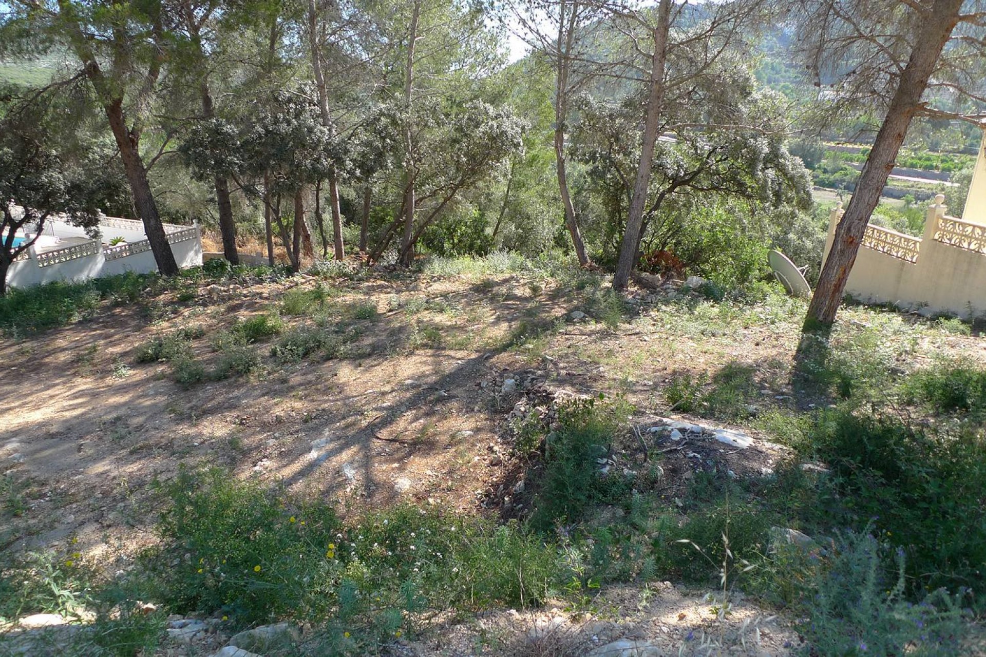 A Vendre - Terrain -
Alcalali