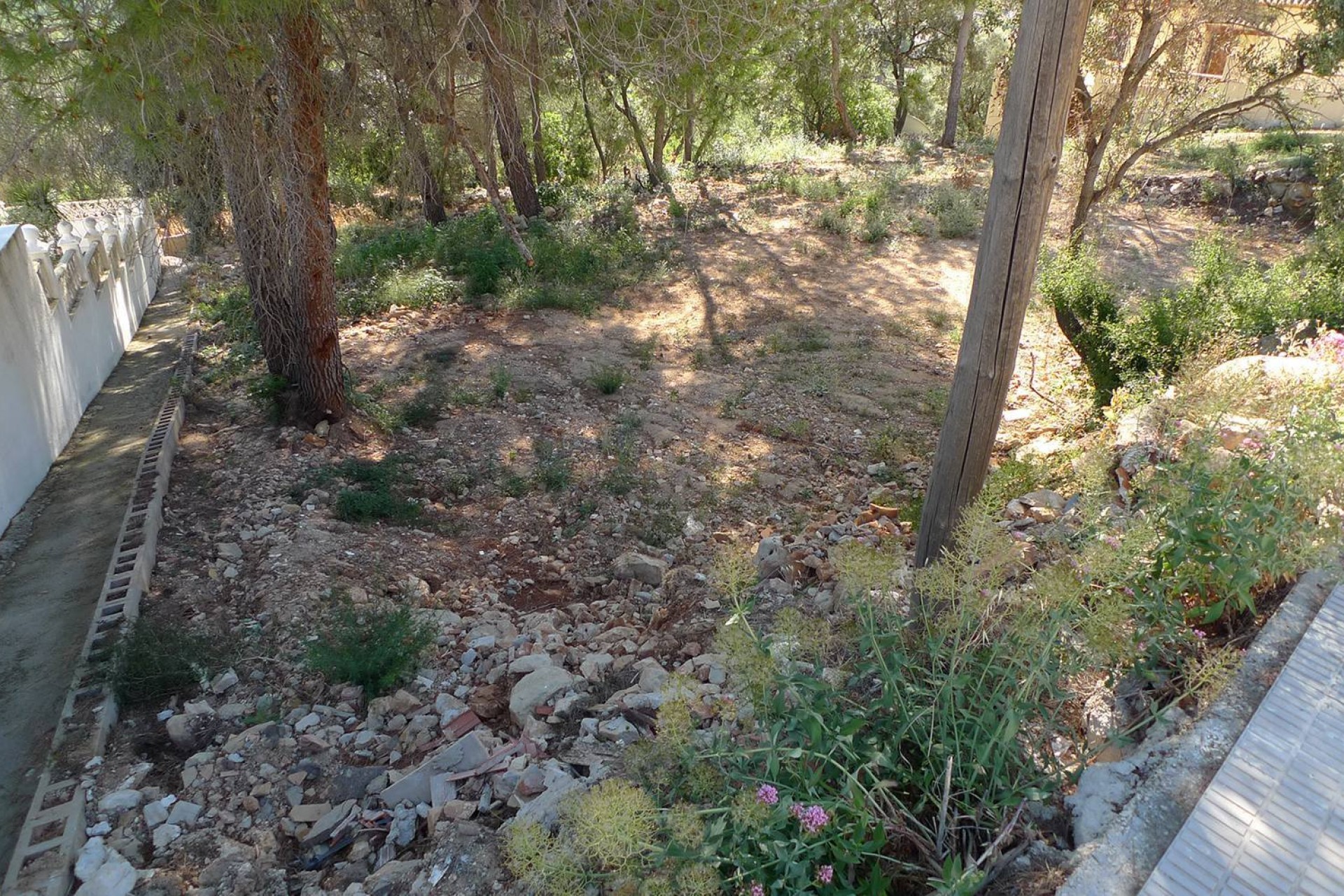 A Vendre - Terrain -
Alcalali
