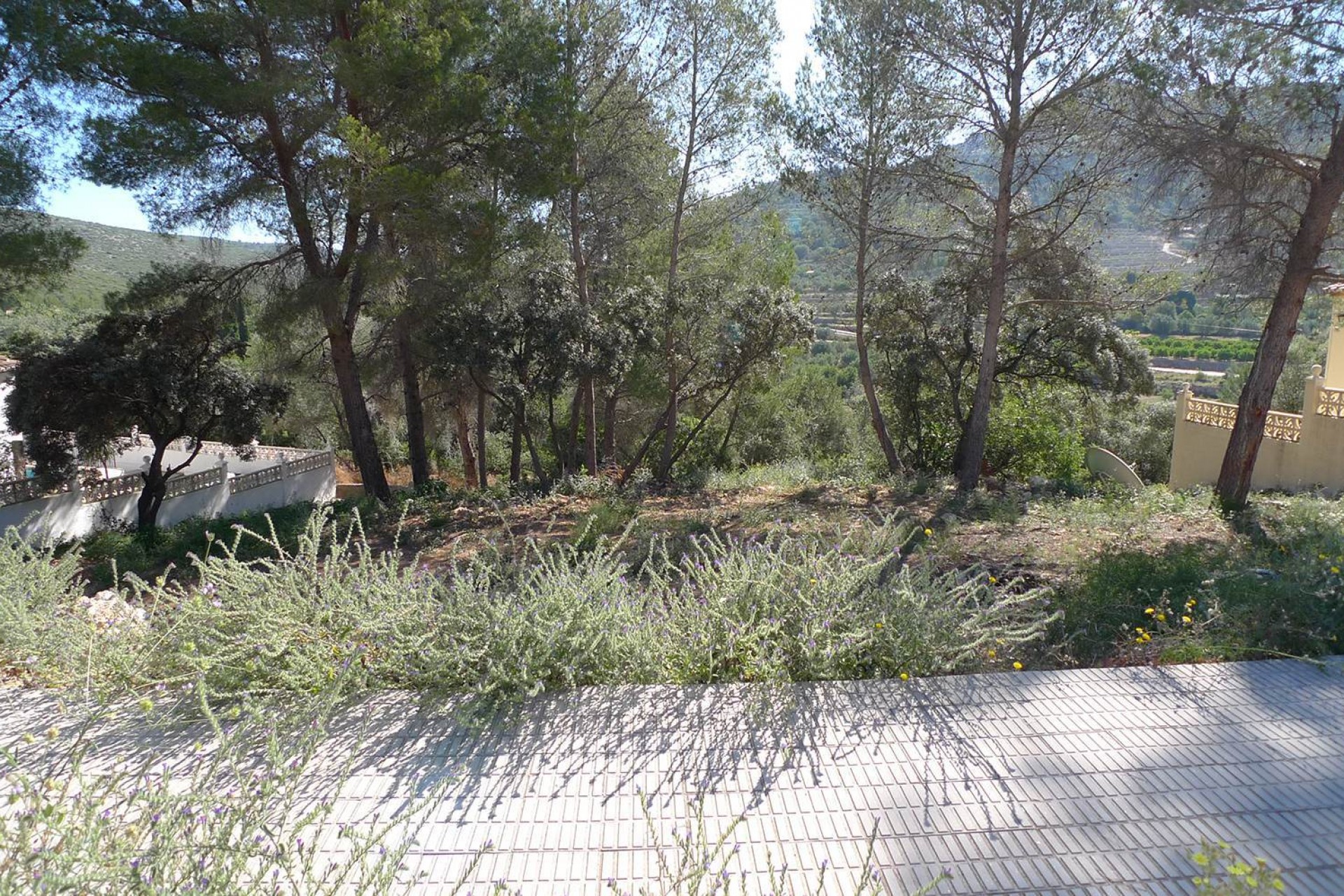 A Vendre - Terrain -
Alcalali