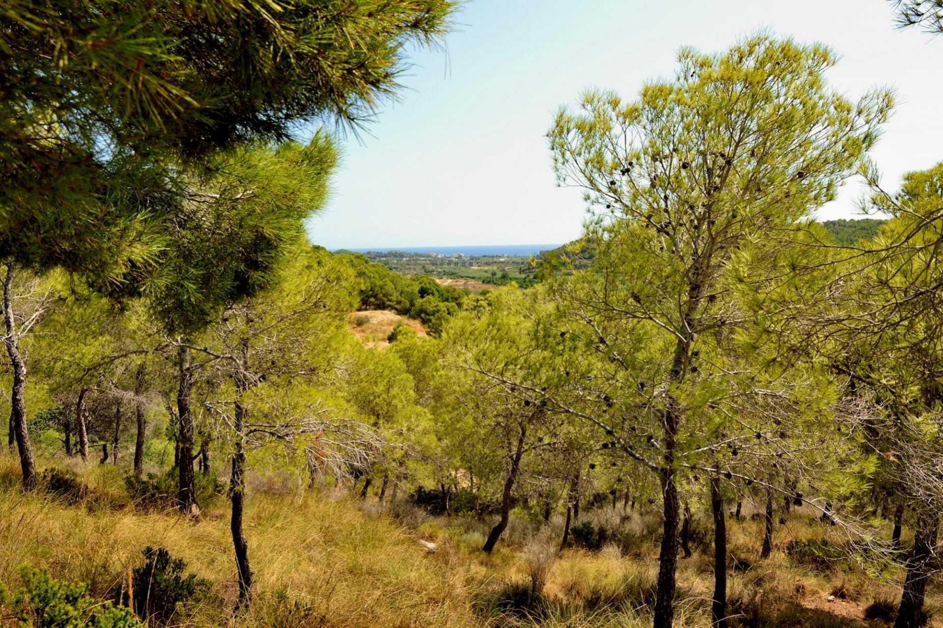 A Vendre - Terrain -
Altea