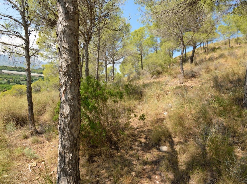 A Vendre - Terrain -
Altea