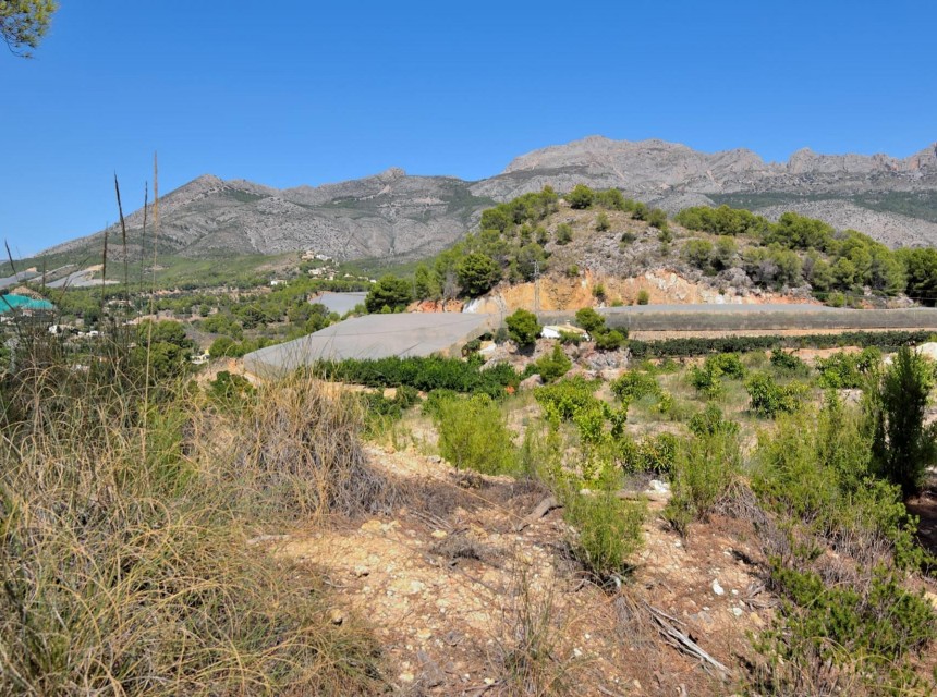A Vendre - Terrain -
Altea