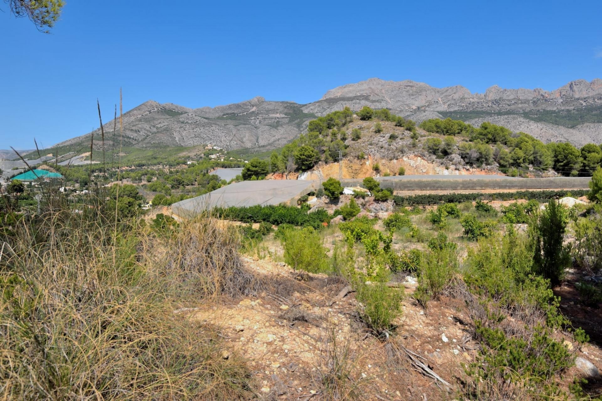 A Vendre - Terrain -
Altea