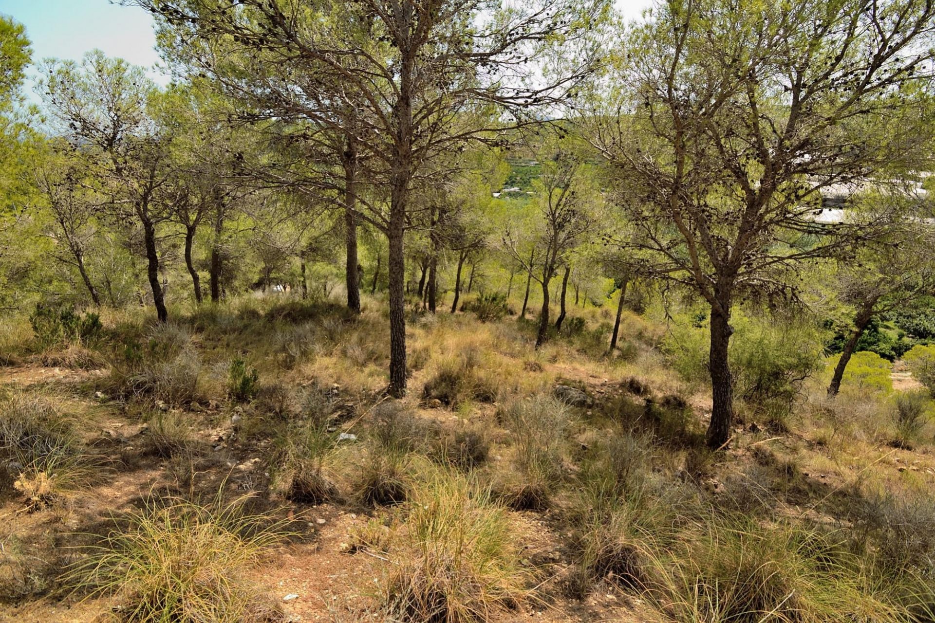 A Vendre - Terrain -
Altea