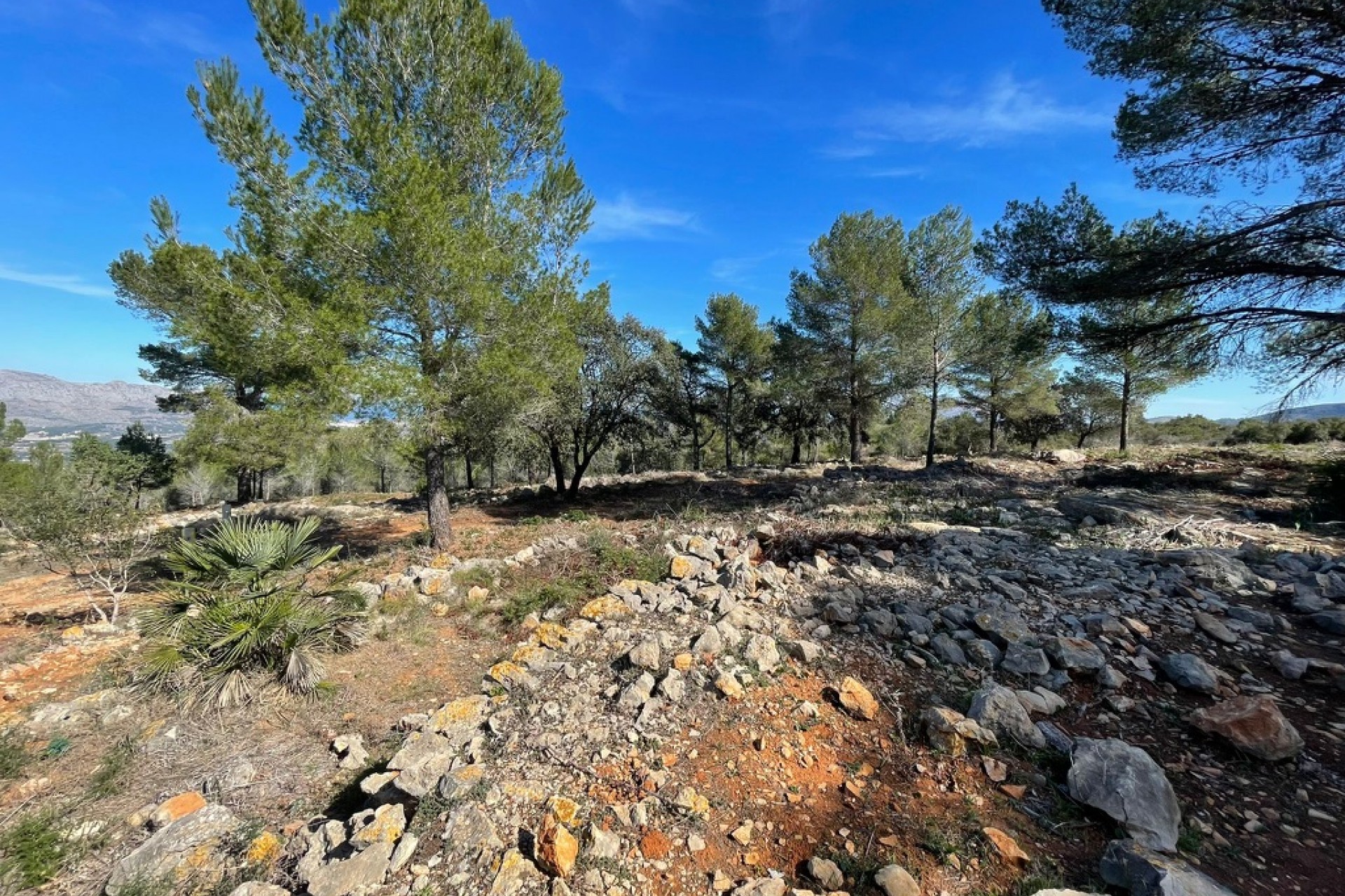 A Vendre - Terrain -
Beniarbeig - Benidoleig