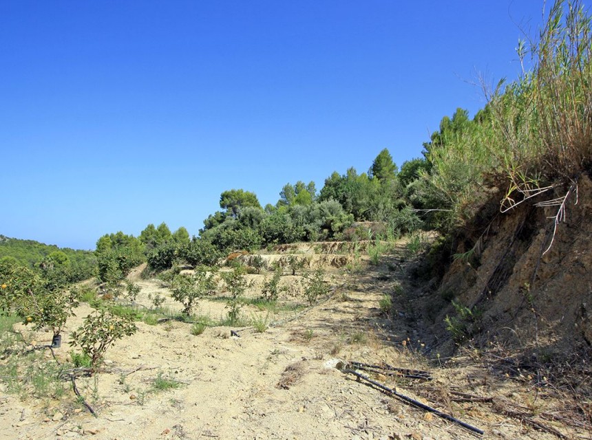 A Vendre - Terrain -
Beniarbeig - Periferia