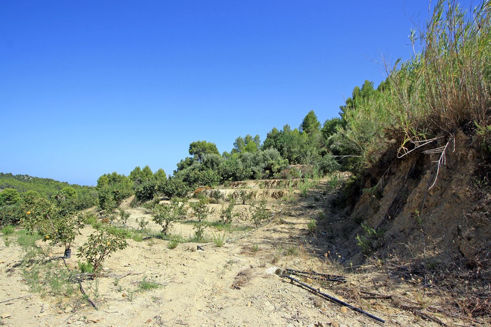 A Vendre - Terrain -
Beniarbeig - Periferia