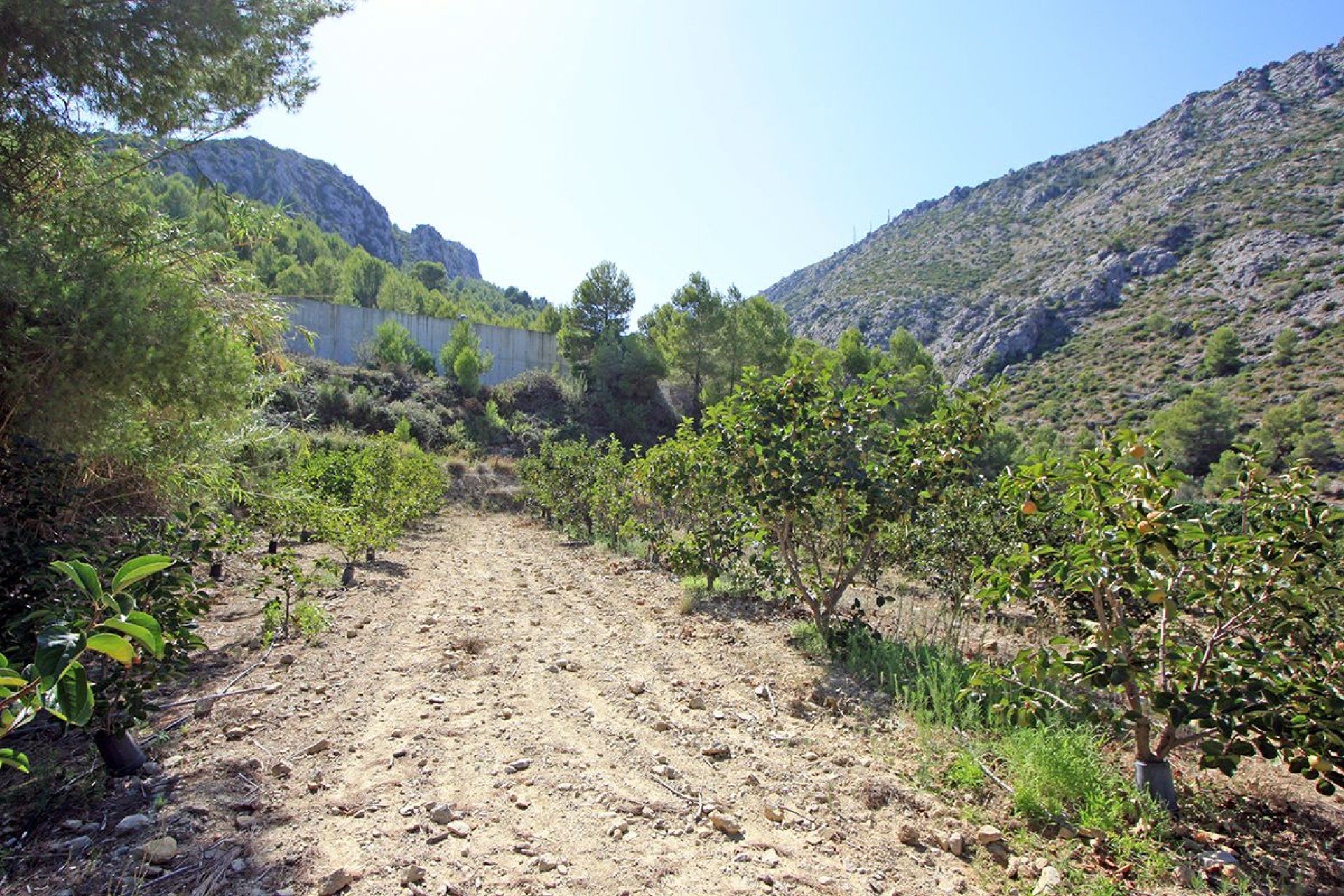 A Vendre - Terrain -
Beniarbeig - Periferia