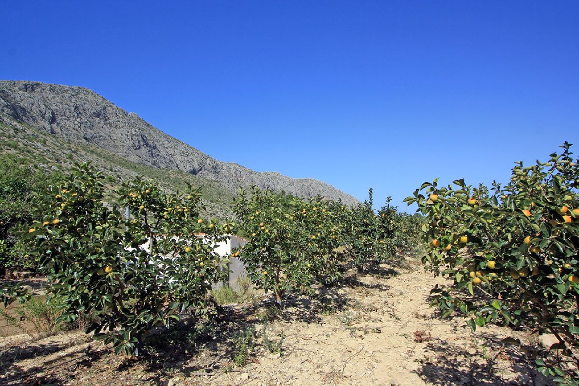 A Vendre - Terrain -
Beniarbeig - Periferia