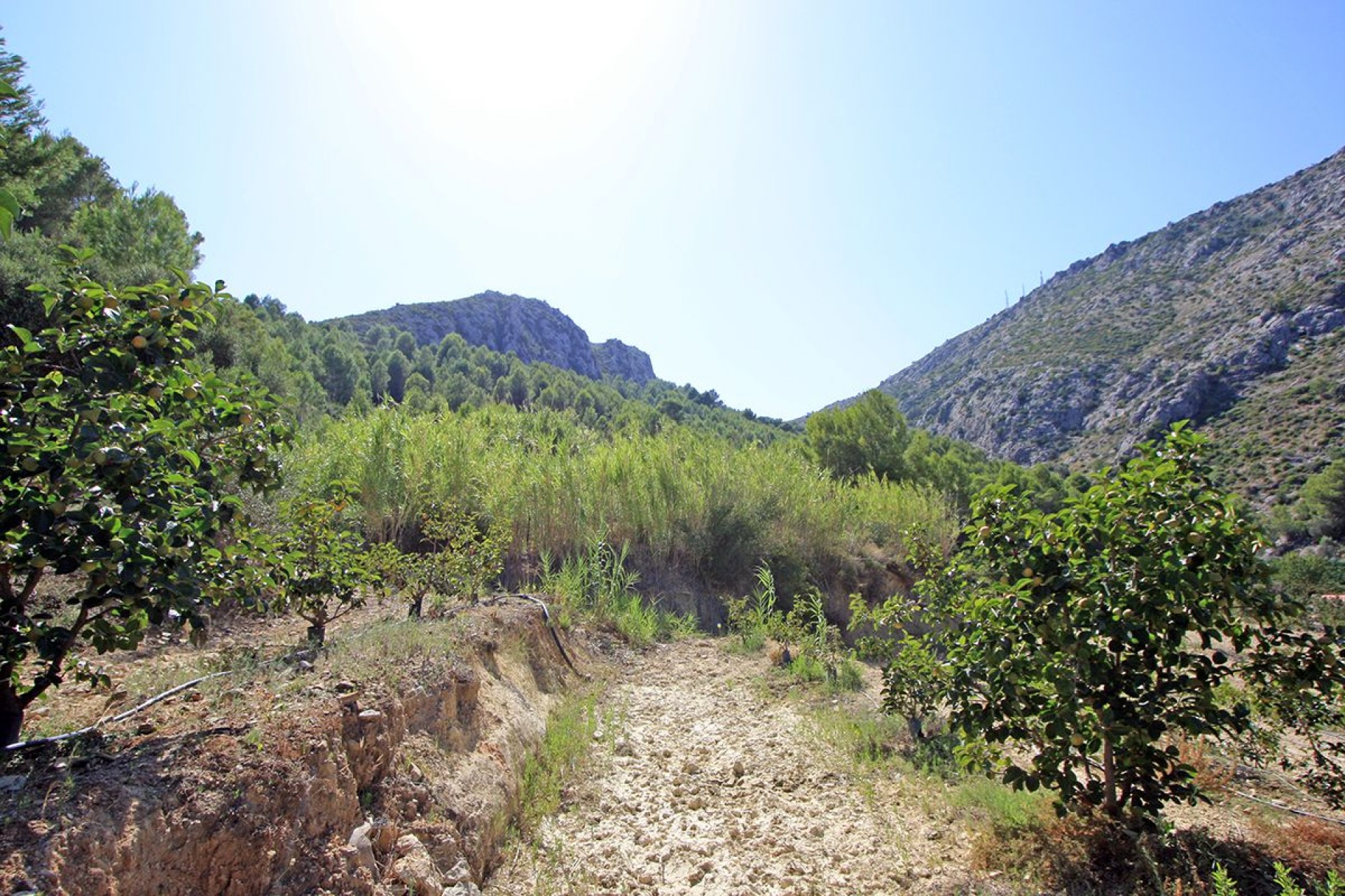 A Vendre - Terrain -
Beniarbeig - Periferia