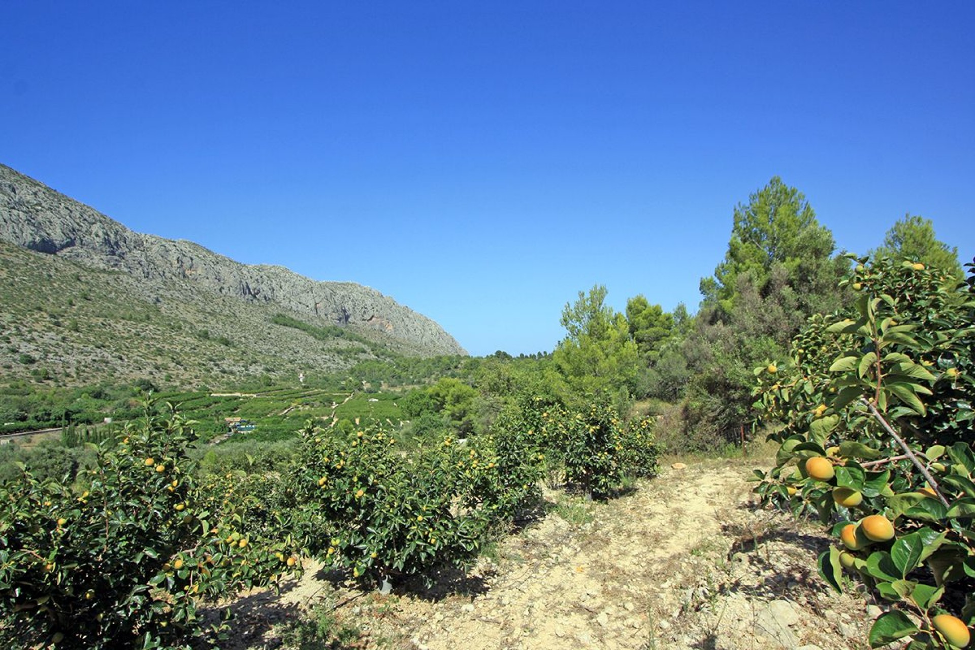 A Vendre - Terrain -
Beniarbeig - Periferia