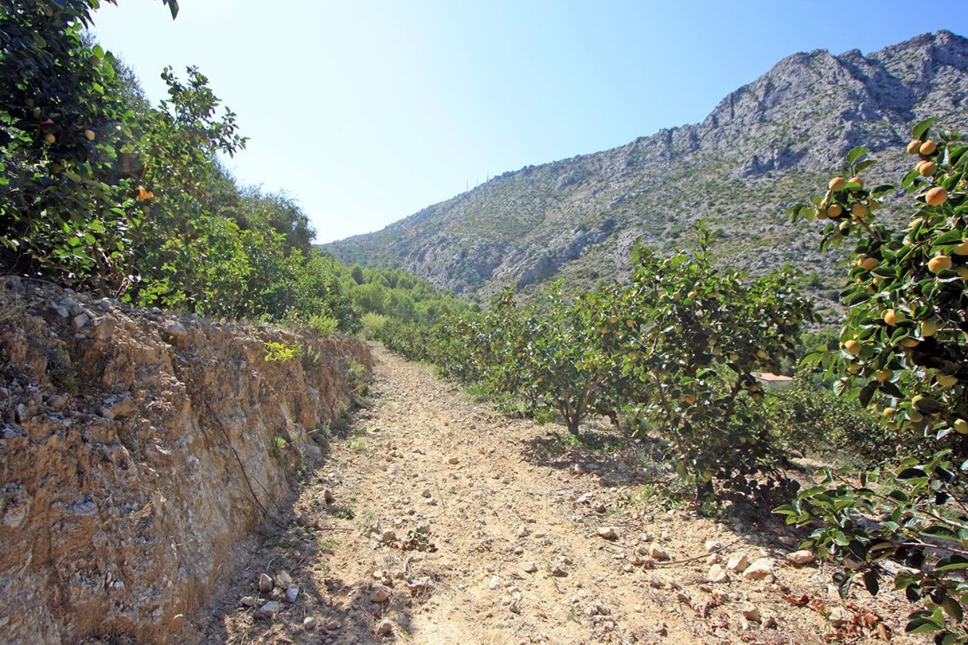 A Vendre - Terrain -
Beniarbeig - Periferia