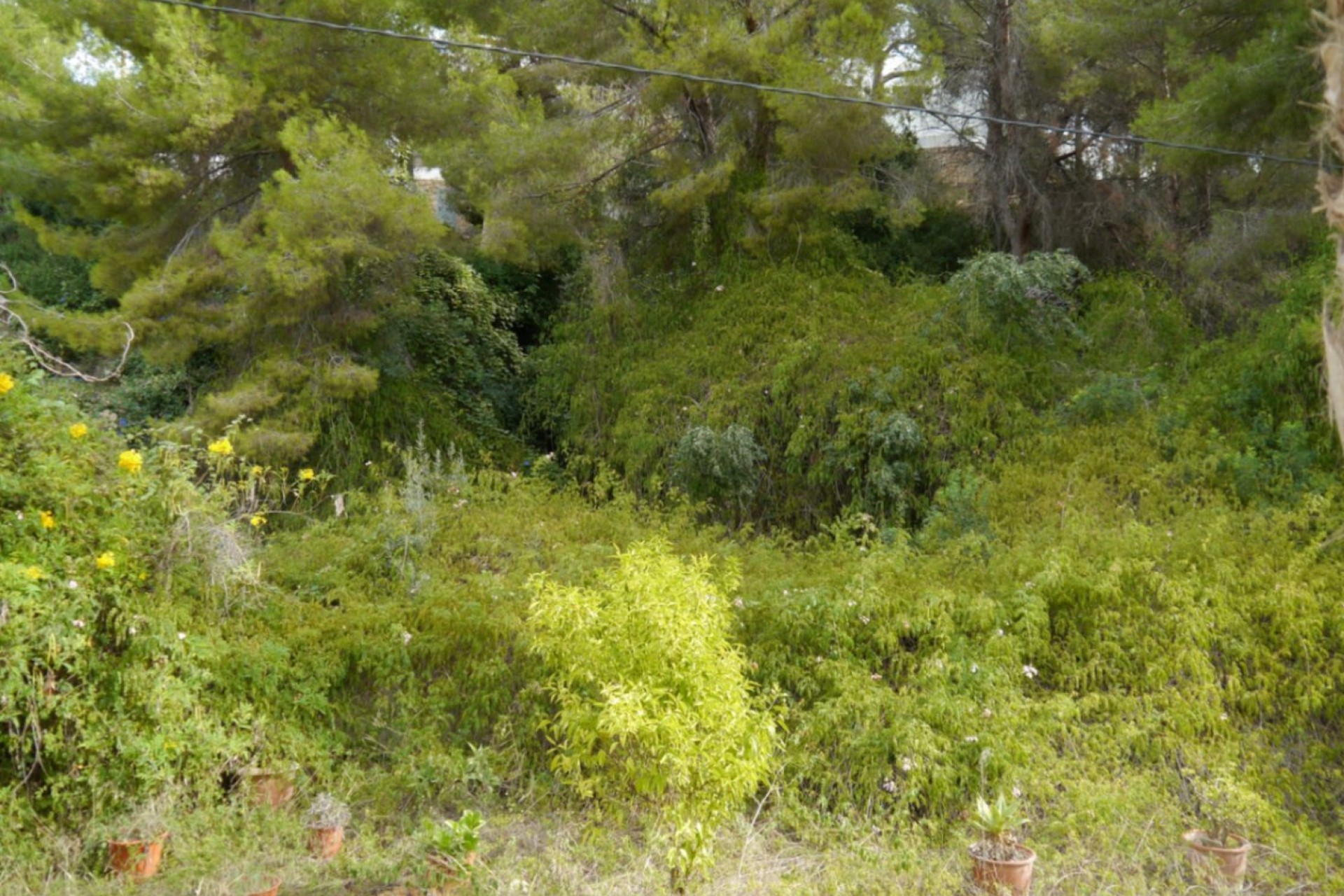 A Vendre - Terrain -
Benissa - Buenavista