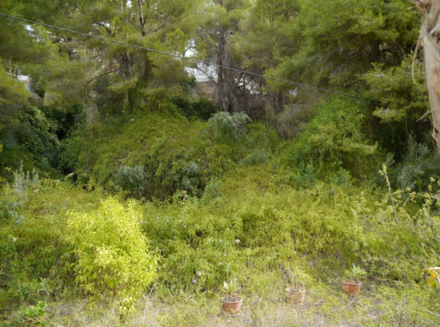 A Vendre - Terrain -
Benissa - Buenavista