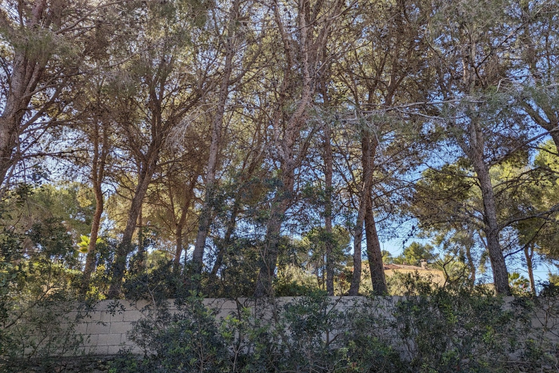 A Vendre - Terrain -
Benissa - Fanadix