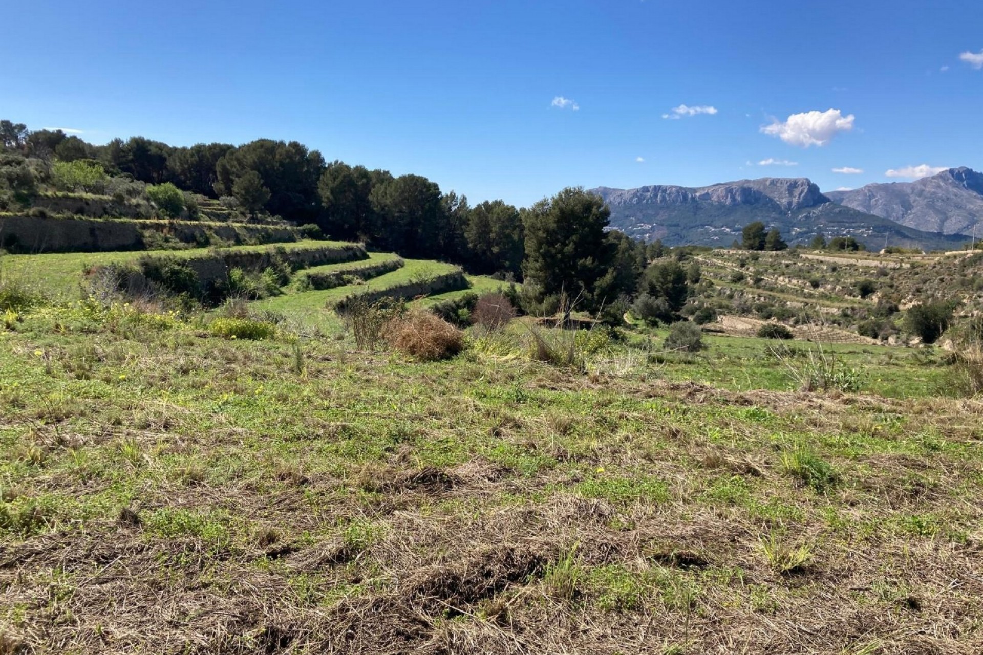 A Vendre - Terrain -
Benissa - Partida Biasner