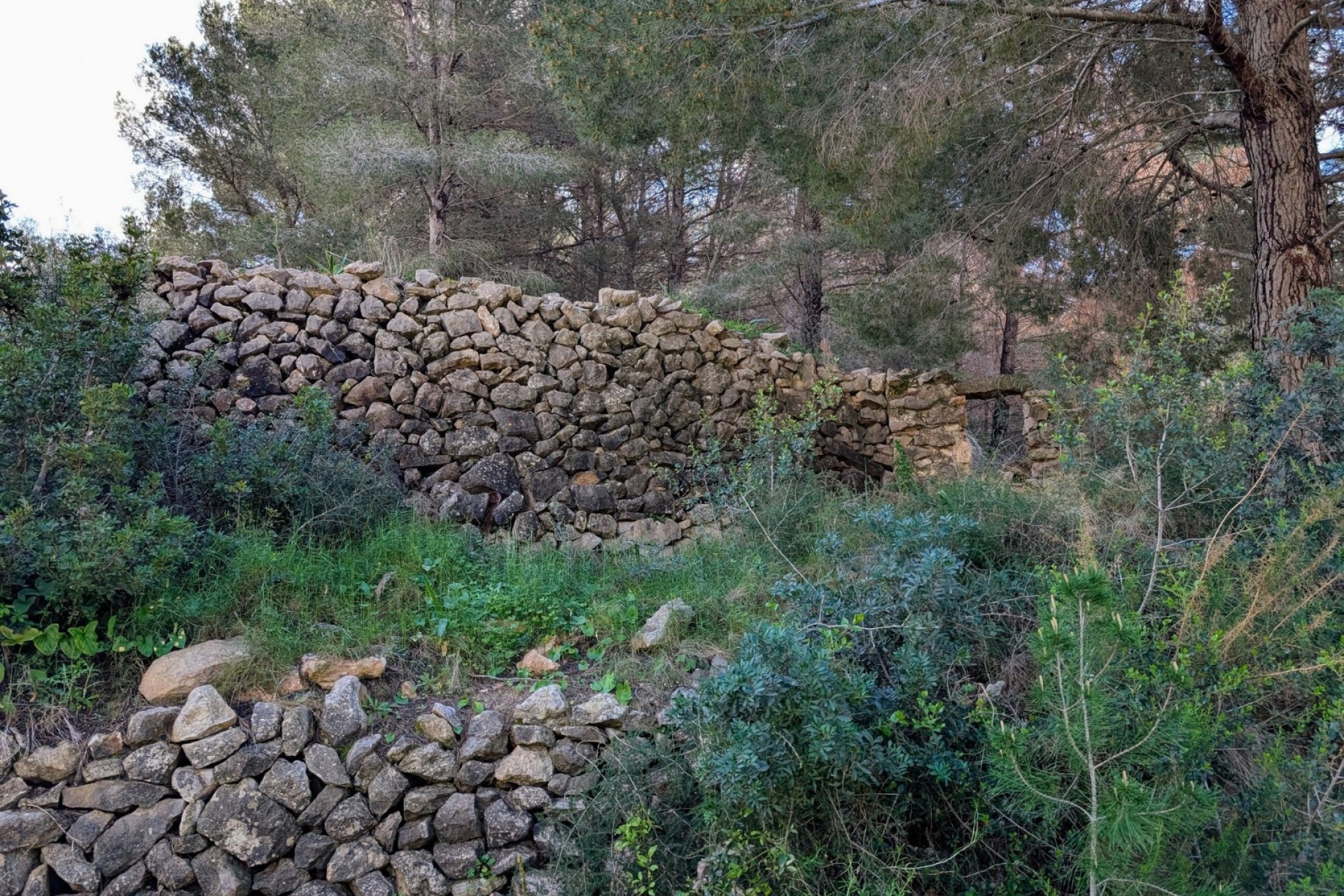 A Vendre - Terrain -
Benissa - Partida Biasner