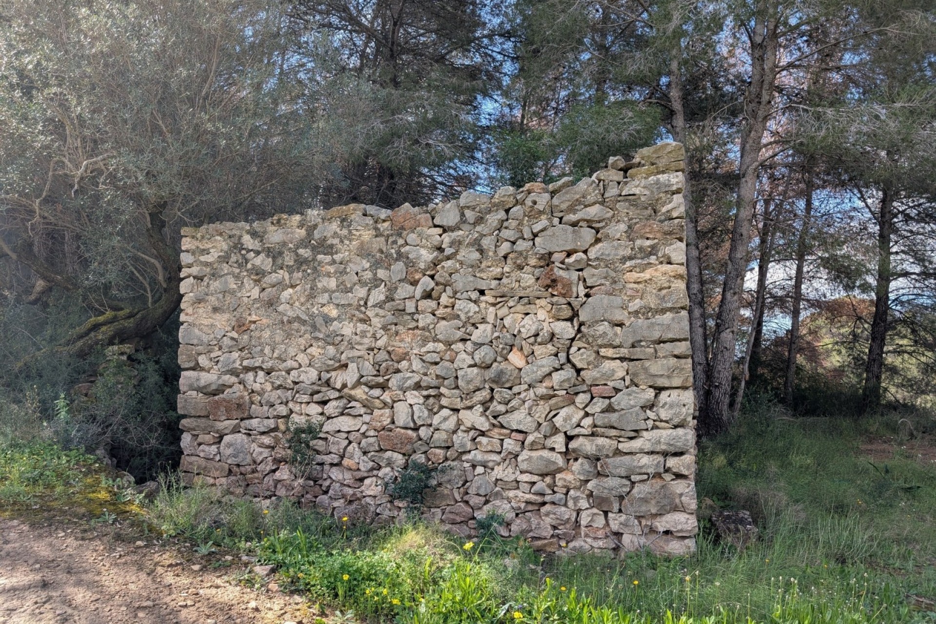 A Vendre - Terrain -
Benissa - Partida Biasner