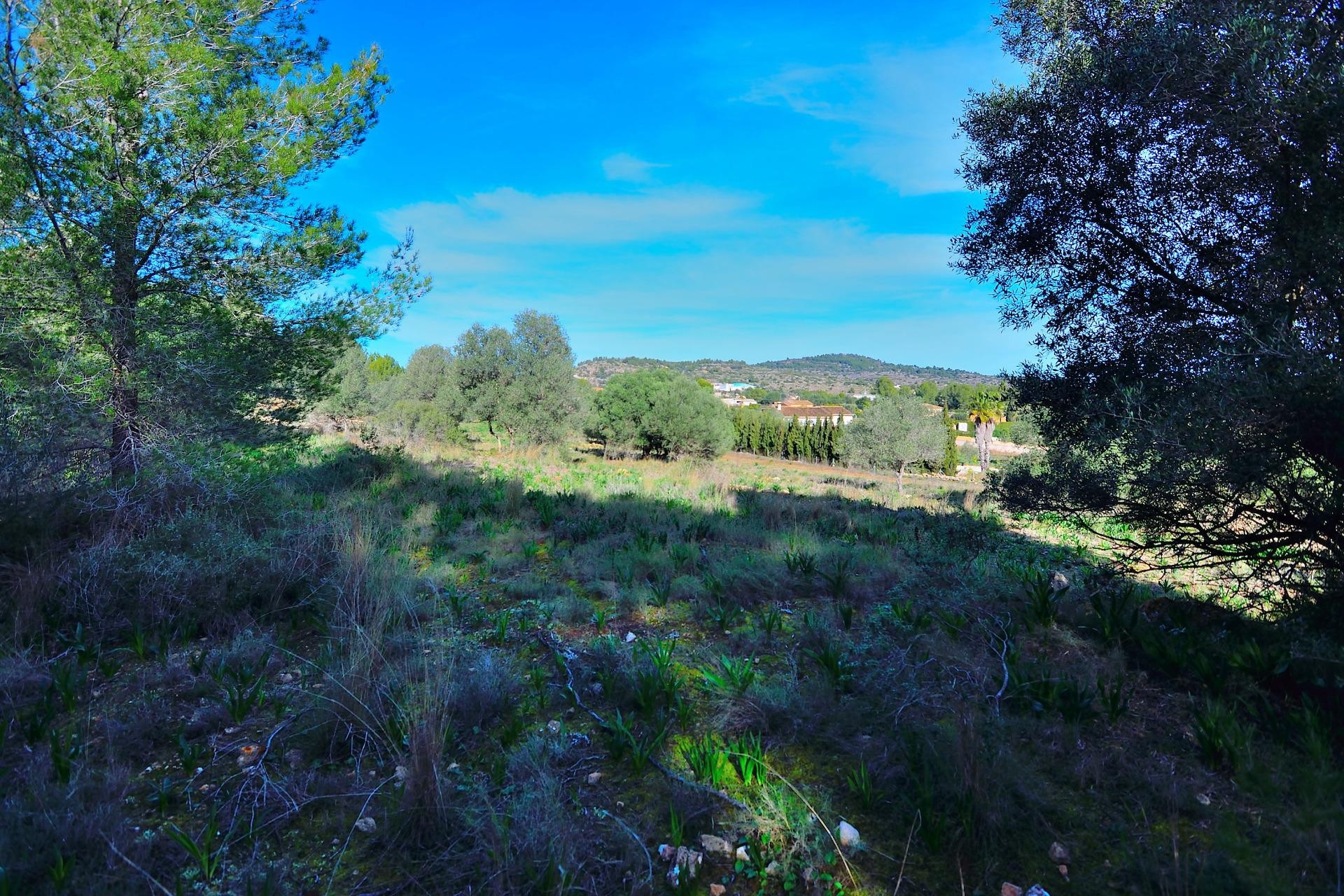 A Vendre - Terrain -
Benissa - Rural
