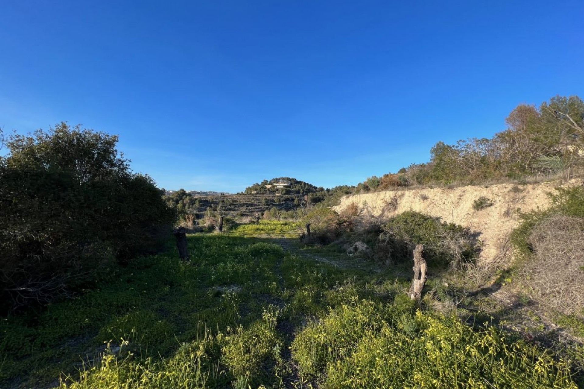 A Vendre - Terrain -
Benissa