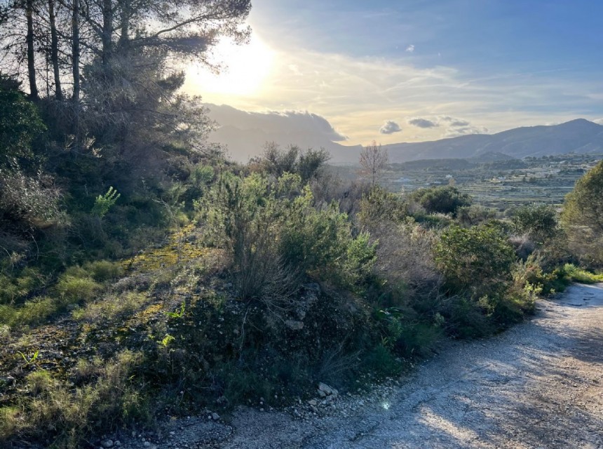 A Vendre - Terrain -
Benissa