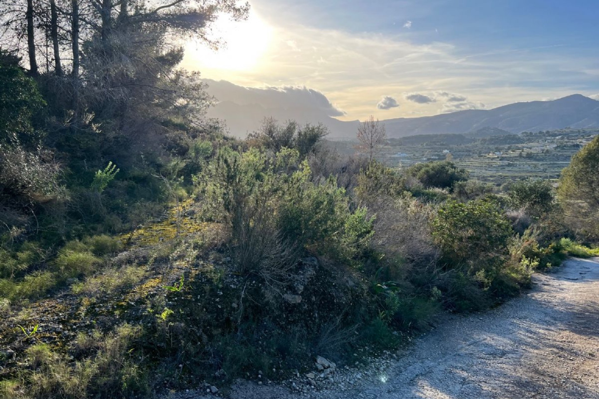 A Vendre - Terrain -
Benissa