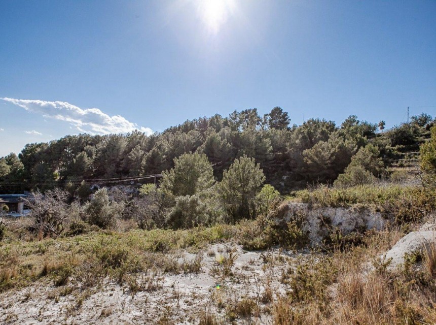 A Vendre - Terrain -
Benitachell