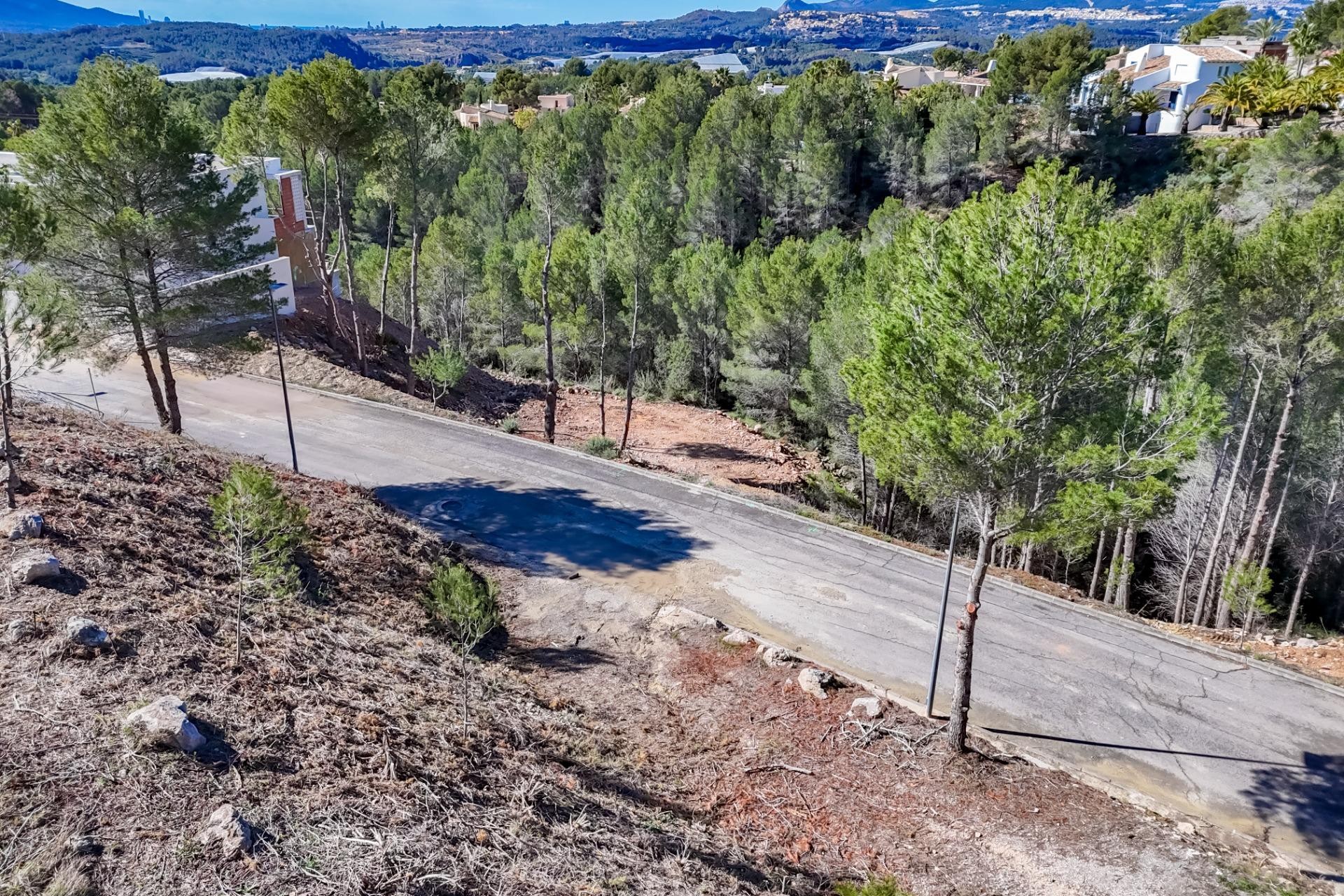 A Vendre - Terrain -
Callosa d'en Sarrià - Santa clara