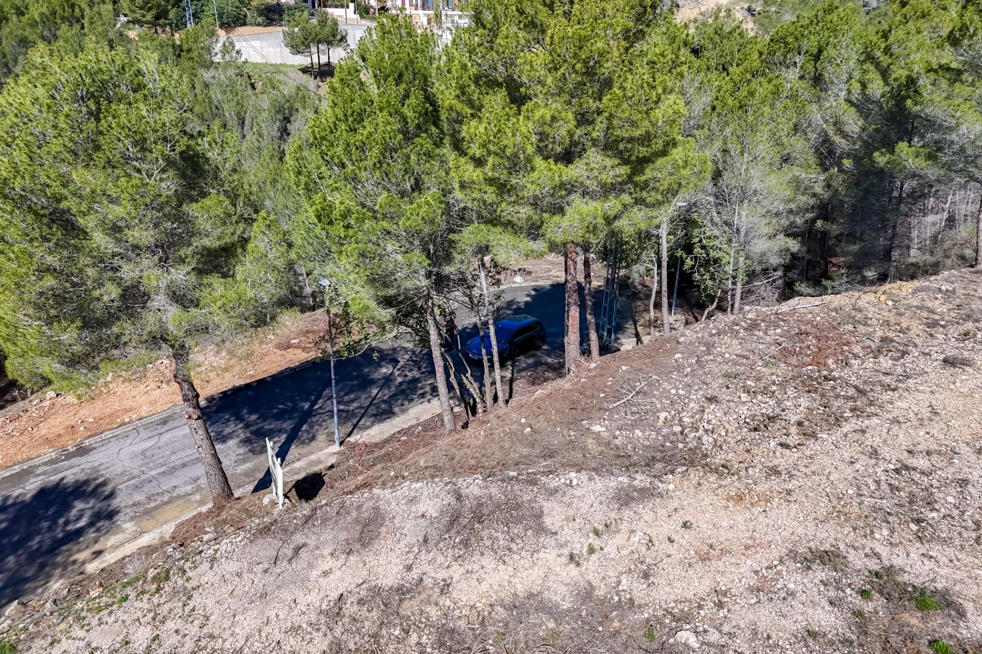 A Vendre - Terrain -
Callosa d'en Sarrià - Santa clara