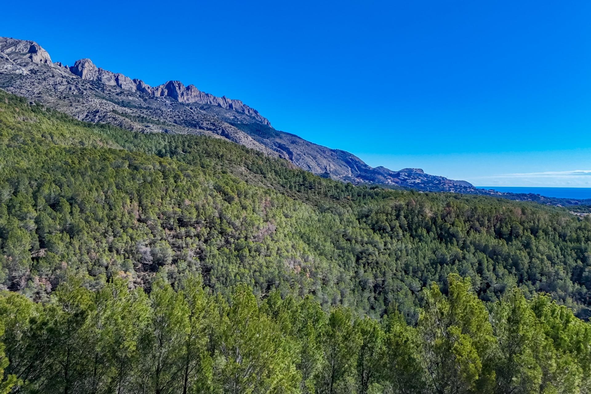 A Vendre - Terrain -
Callosa d'en Sarrià - Santa clara