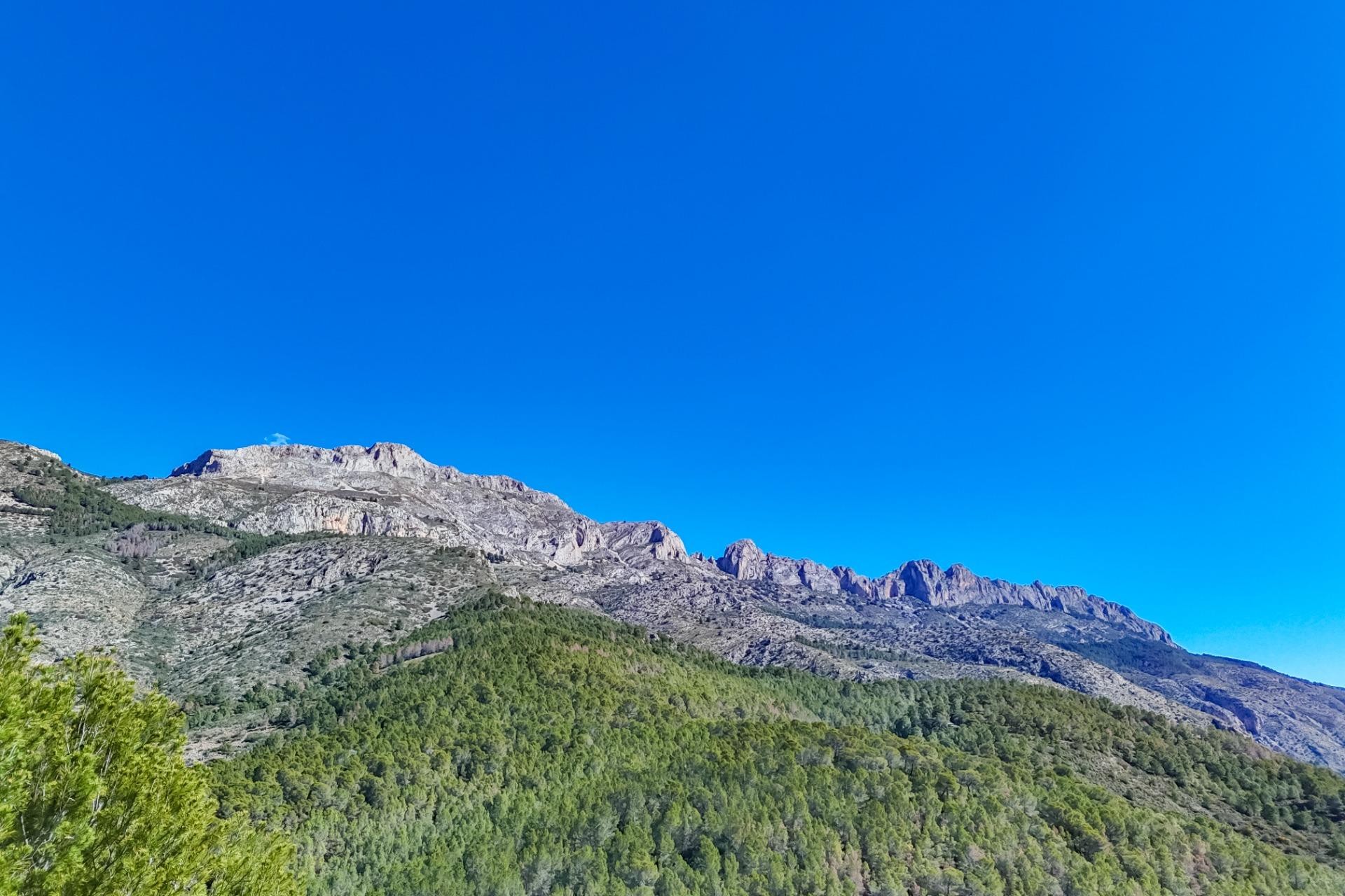 A Vendre - Terrain -
Callosa d'en Sarrià - Santa clara