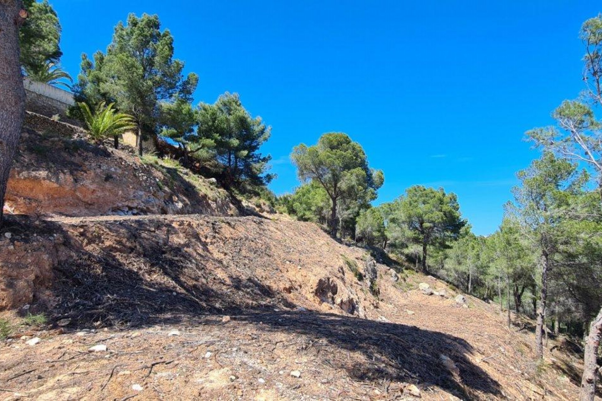 A Vendre - Terrain -
Calpe