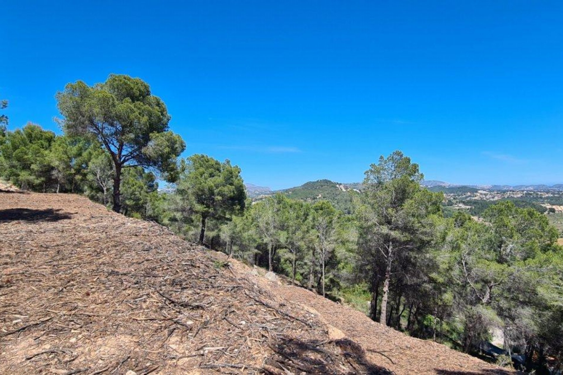 A Vendre - Terrain -
Calpe