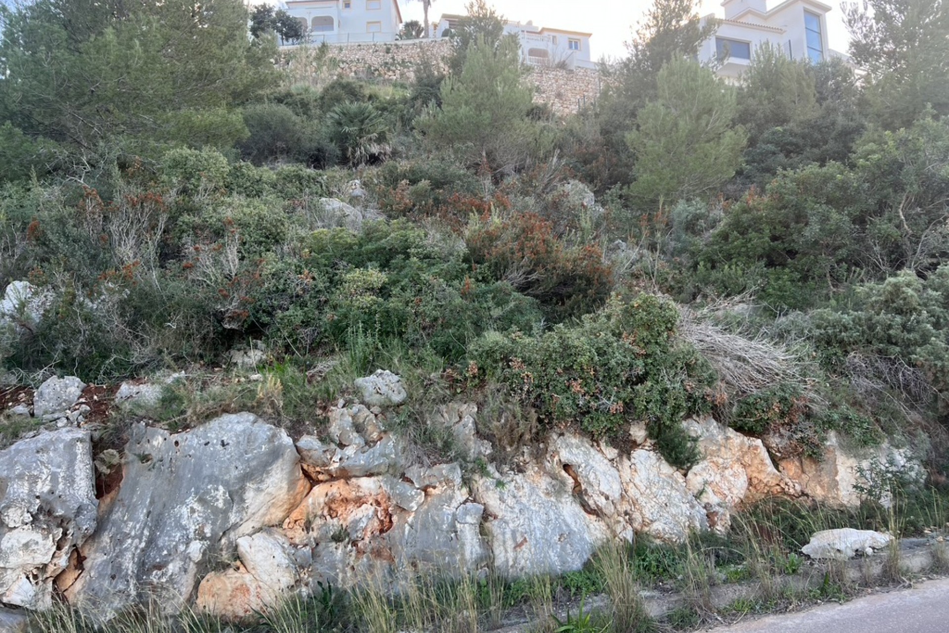 A Vendre - Terrain -
Denia - La Pedrera